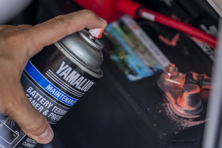 Cleaners and protectants